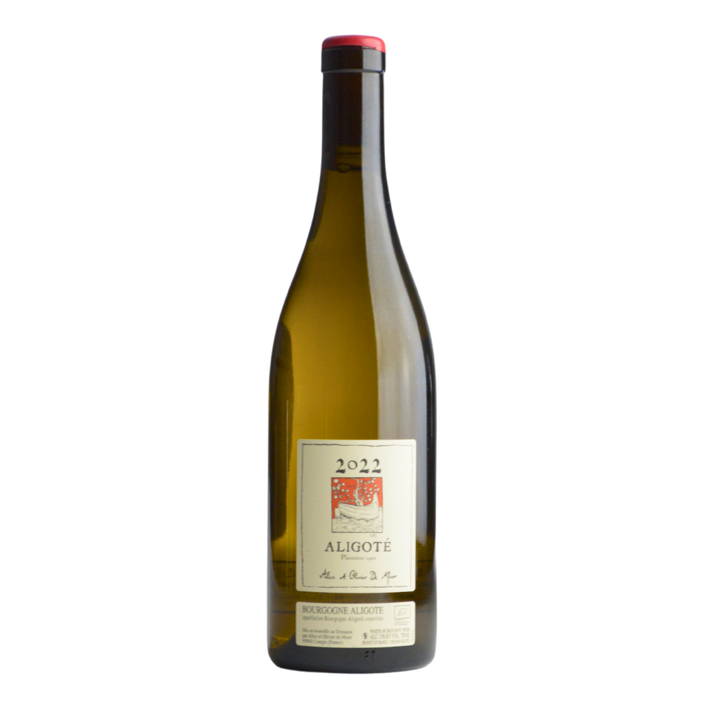 13_2.png?v=1716523252&width=1024