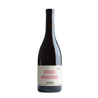 Santini - Coteaux Bourguinon Rouge 2022  - コトー・ブルギニョン