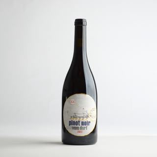 Pittnauer - Pinot Noir  2022 / ピットナウアー - ピノ・ノワール