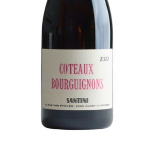 Santini - Coteaux Bourguinon Rouge 2022  - コトー・ブルギニョン