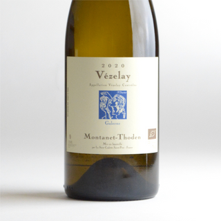 Montanet Thoden - Vezelay Galerne 2020 / モンタネ・トダン - ヴェズレイ ガレルヌ