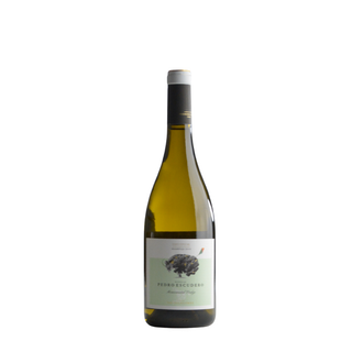 Pedro Escudero - Valdelagunde Verdejo Cuvee Especial 2024 / ペドロ・エスクデーロ  -  バルデラグンデ ・ベルデホ ・エスペシアル  2024
