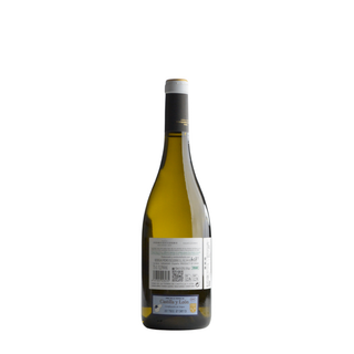 Pedro Escudero - Valdelagunde Verdejo Cuvee Especial 2024 / ペドロ・エスクデーロ  -  バルデラグンデ ・ベルデホ ・エスペシアル  2024