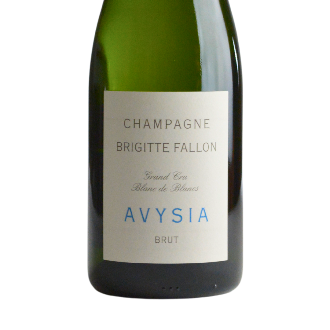 Brigitte Fallon - Avysia NV / ブリジット・ファロン - アヴィシア NV Brigitte Fallon - Avysia NV / ブリジット・ファロン - アヴィシア NV