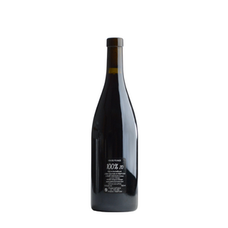 Le Clos de la Bruyere (Julien Courtois) - 100％ 2020 / ル・クロ・ド・ラ・ブリュイエール (ジュリアン・クルトワ) - 100%(サン・プル・サン) 2020